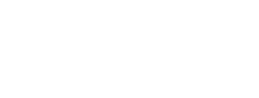 Sedexis Advisors Logo white